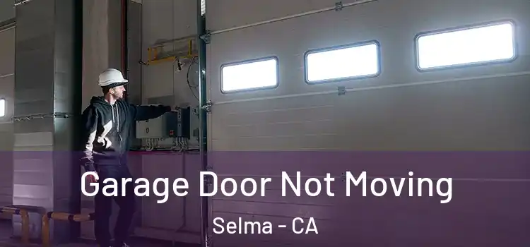  Garage Door Not Moving Selma - CA